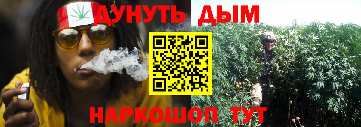 Бошки Шишки планчик  МАРИХУАНА THC 21%  МАРИХУАНА Bruce Banner  Вход с VPN  Бошки марихуана план  Назрань 